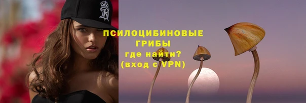 тгк Покров