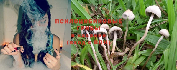 соль курить ск Протвино