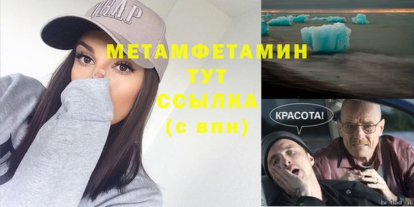 ГАЛЛЮЦИНОГЕННЫЕ ГРИБЫ Вяземский